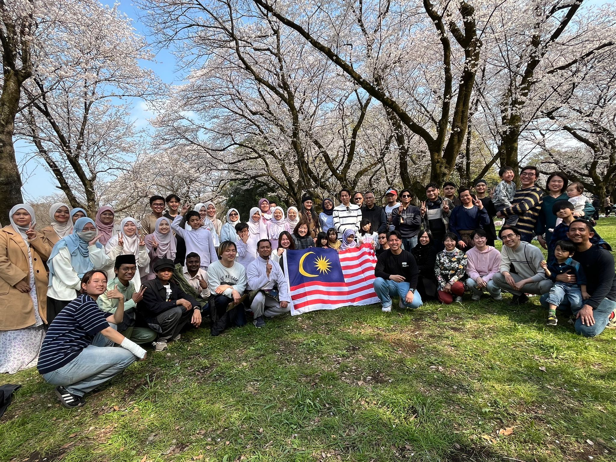 MJAA Sakura gathering 